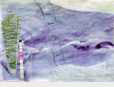collage_01